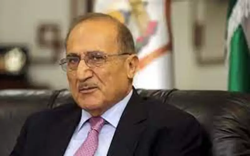 العناني: لم يعد هناك قرارا حكوميا