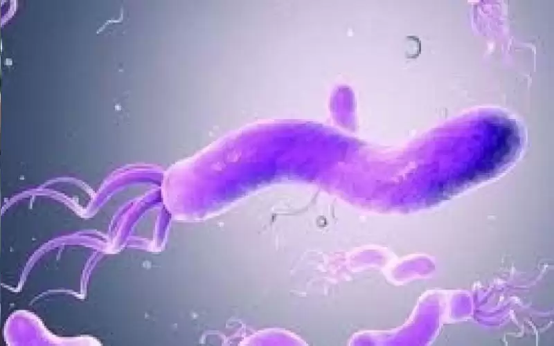 عودة التعليم بمدارس في جرش وعجلون