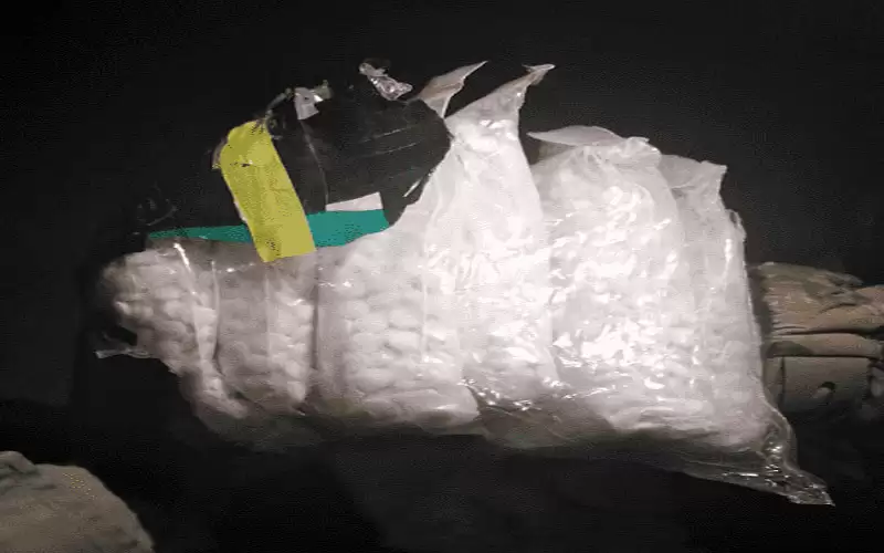 الجيش يحبط محاولة تهريب بواسطة طائرة