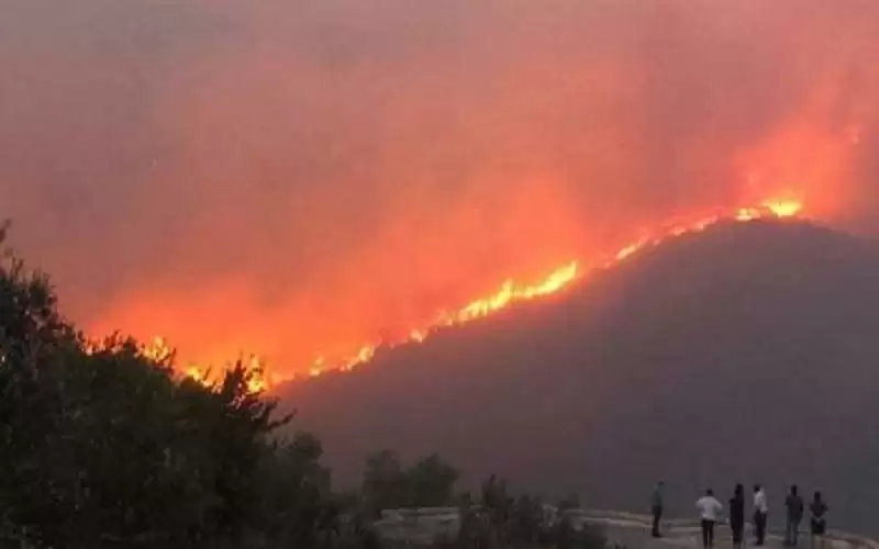 سوريا تنفذ حكم الإعدام بحق 24