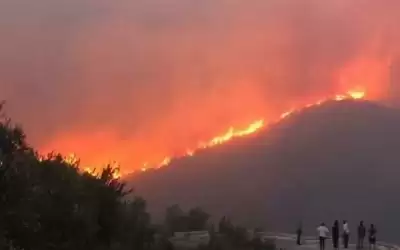 سوريا تنفذ حكم الإعدام بحق 24