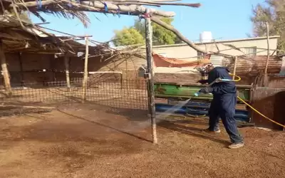 حملة لمكافحة الذباب في وادي الاردن