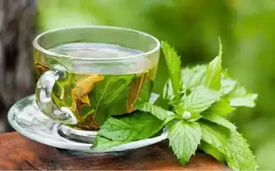 الشاي الأخضر .. كنز من الفوائد