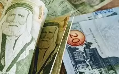 الإحصاء تنفذ جولات لإجراء مسح دخل
