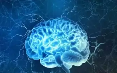 إتلاف أوعية دموية في الدماغ ..