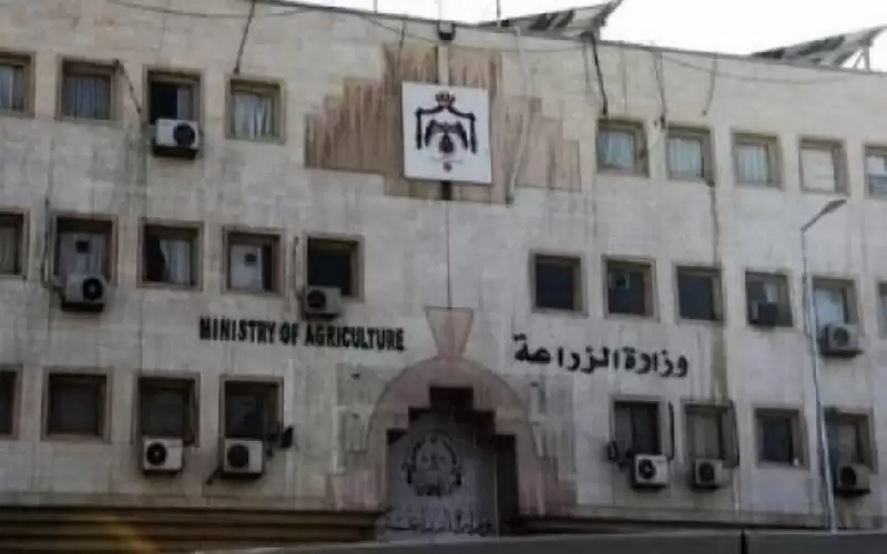 الزراعة: لا حشرات داخل الموز المستورد