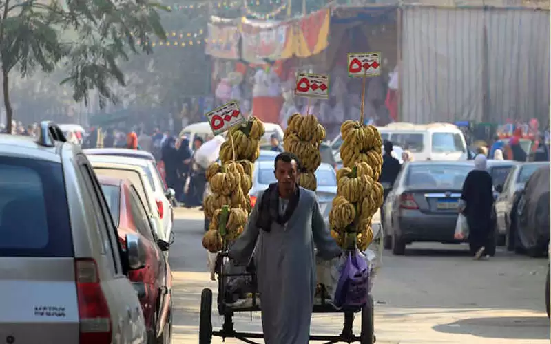 مصر ترد على شائعة الموز