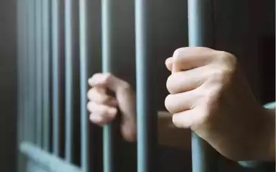 السجن 3 سنوات لشخص زور شهادتي