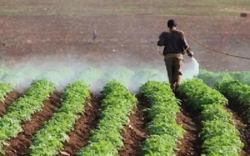 الزراعة النيابية: توجه حكومي لتخفيض كلف