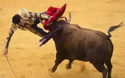 وفاة رجل خلال مهرجان الركض مع