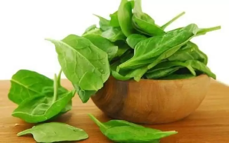 فوائد الجرجير المذهلة للشعر.. تعرف إليها