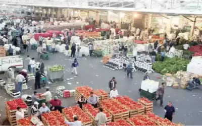 3283 طن خضار وفواكه ترد السوق