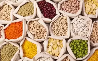المهندسين الزراعيين: مخالفات الغذاء لا تتجاوز