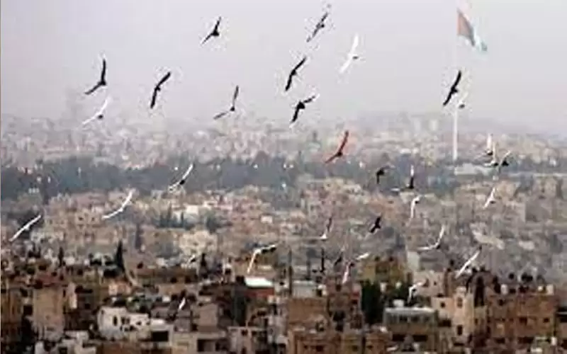 الحرارة أعلى من معدلاتها