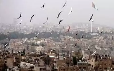 الحرارة أعلى من معدلاتها