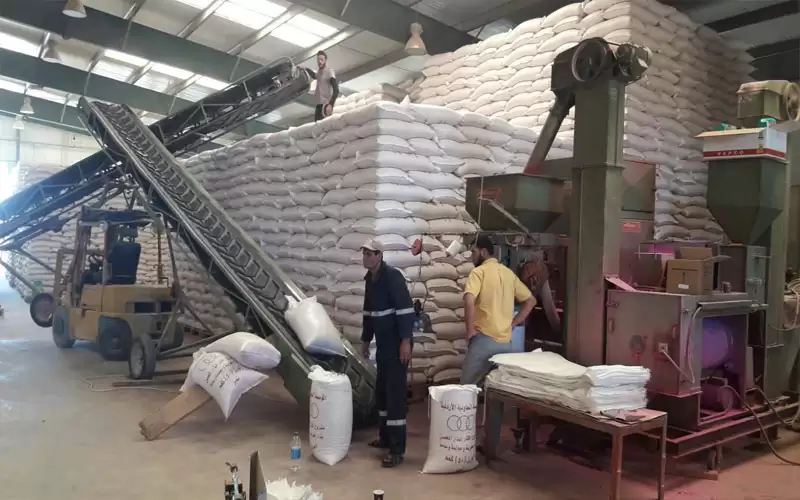 الشلبي يثمن قرار مجلس الوزراء بتحديد