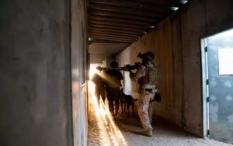 تدريبات عسكرية إماراتية وبحرينية وإسرائيلية وأميركية