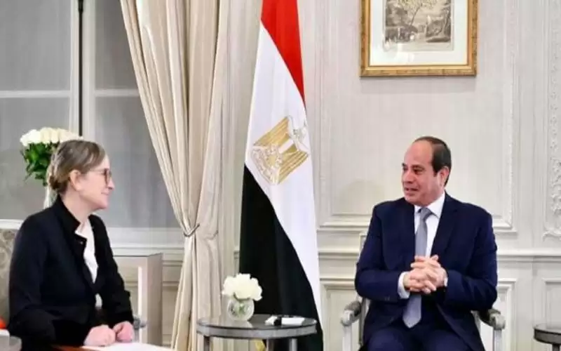 السيسي يوجه رسالة لتونس حول سد