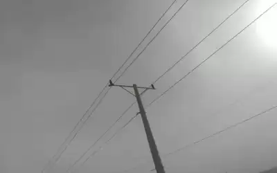 سقوط أعمدة كهرباء في الرامة