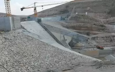 وزير الزراعة: 200 دينار عن كل