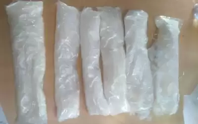 ضبط 3 أشخاص حاولوا تهريب مخدرات