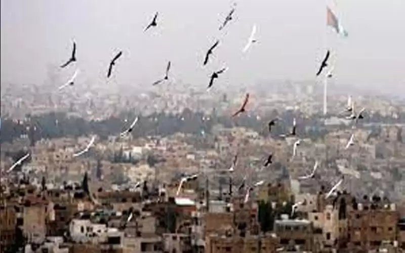 أجواء لطيفة نهارا وبارة ليلا