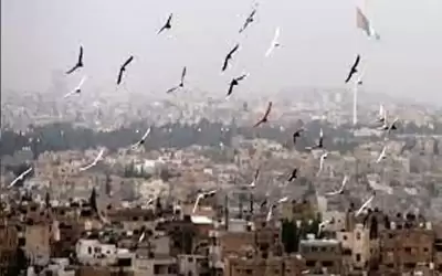 أجواء لطيفة نهارا وبارة ليلا