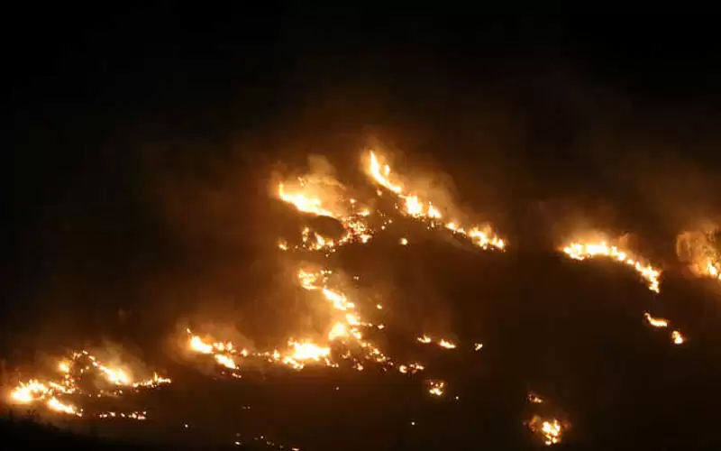 النيران تلتهم أجزاء واسعة من الأحراج