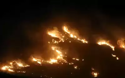 النيران تلتهم أجزاء واسعة من الأحراج