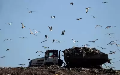 تلوث الهواء يؤدي إلى وفاة أكثر