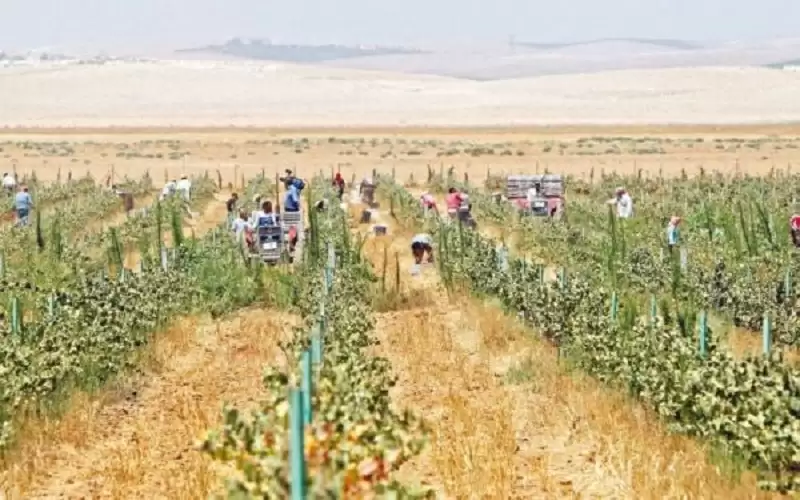 الأردن السابع عربيا في مؤشر الأمن