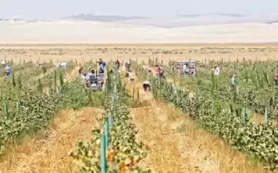 الأردن السابع عربيا في مؤشر الأمن