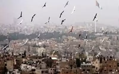 أجواء باردة نسبيا بالمرتفعات والسهول ومعتدلة
