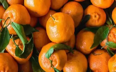 احترسوا.. هذه الفئات ممنوعة من تناول