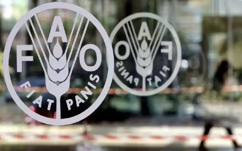 الفاو تدعو للاستعداد إلى صدمات جديدة