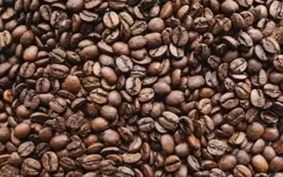 إدخال 75 طن قهوة غير صالحة