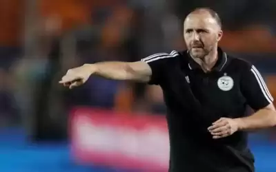 أهم لاعب يبشر جمال بلماضي قبل