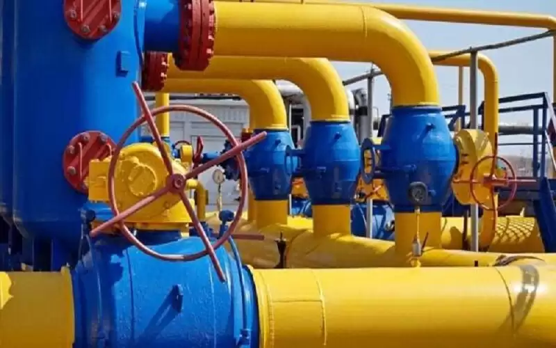 قطر تصدر 14.4 مليون طن من