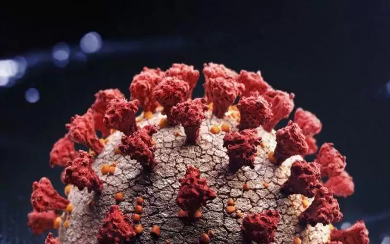 اسرائيل: اكتشاف 5 إصابات بالمتحور أوميكرون