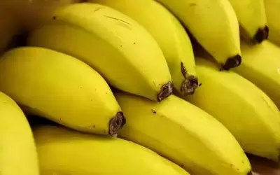 خبراء: الموز الفاكهة الأكثر إشعاعا