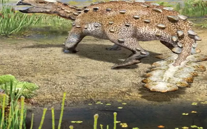 اكتشاف ديناصور مدرع أرهب الخصوم قبل