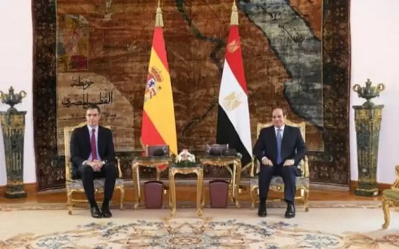 السيسي عن سد النهضة: متمسكون بصون