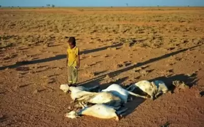 الجفاف يتسبب بمقتل 3 صوماليين