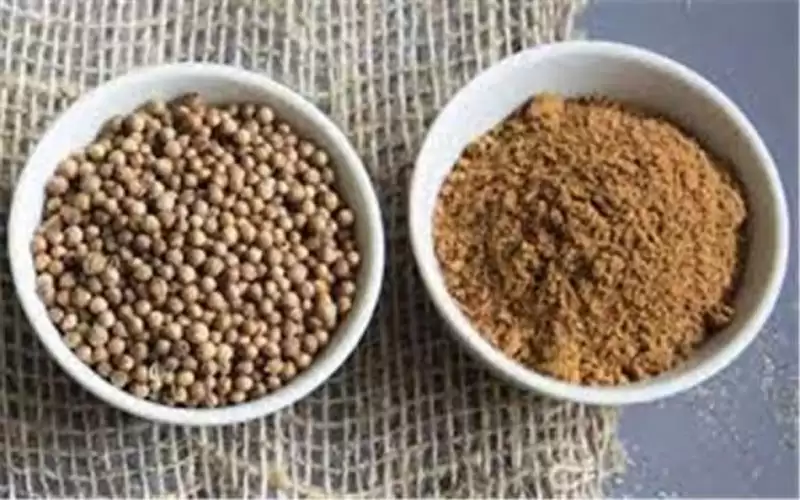 فوائد مذهلة للكزبرة الناشفة لن تخطر