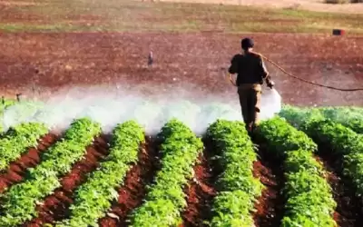 “وادي الأردن” تؤكد استمرارية تزويد المزارعين