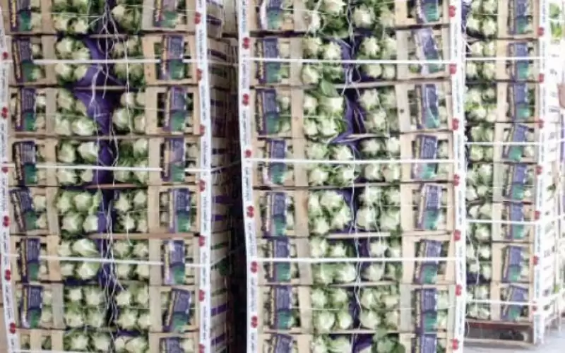 تمديد إعفاء السلع الزراعية المعدة للتصدير