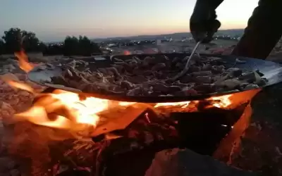 أمين عام الزراعة: الصاجية من الخروف