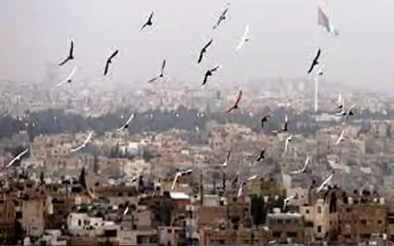 ارتفاع قليل على الحرارة الجمعة