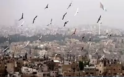 ارتفاع قليل على الحرارة الجمعة