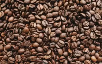 ارتفاع أسعار القهوة في عام 2021